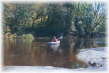 Mattaponi River near Zoar Nature Trail