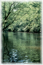 Upper Mattaponi