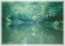 Pamunkey River