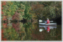 Kayak