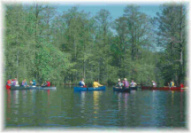 Chickahominy Swamp